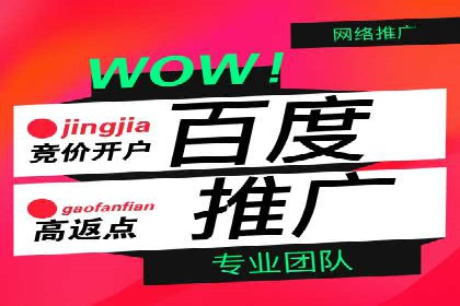 行业顶尖SEM竞价员的策略及成功案例